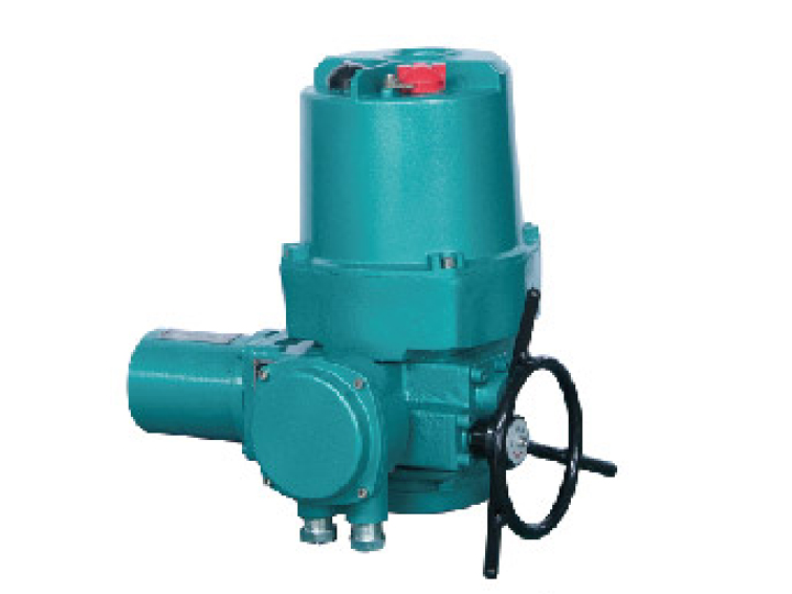 Q型整體型、調(diào)節(jié)型戶外電動(dòng)裝置